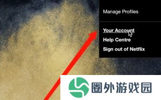netflix奈飞中文电影站