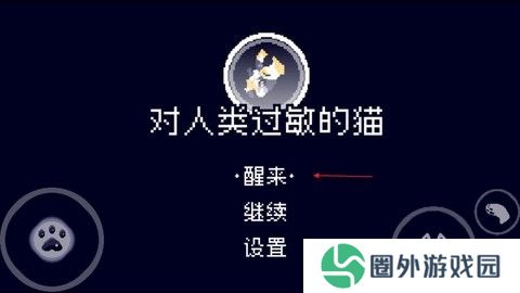 对人类过敏的猫游戏