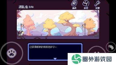 对人类过敏的猫