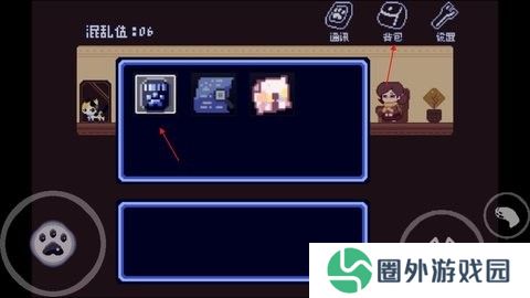 对人类过敏的猫