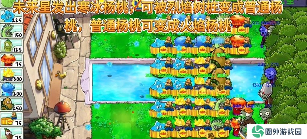 植物大战僵尸精华版